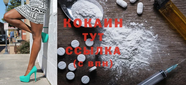 прущие грибы Горнозаводск