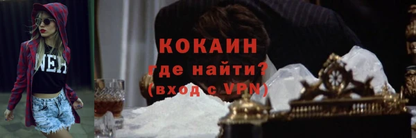 гидра Абаза